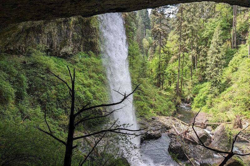 Winter Rain at Oregon’s Silver Falls Means Walking Right Behind a Roaring Curtain of Water