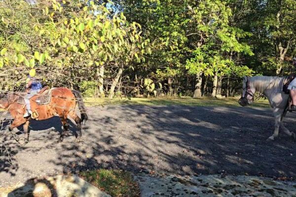 New Jersey’s Echo Lake Stables Takes Beginners Beyond the Ring on Woodland Rides
