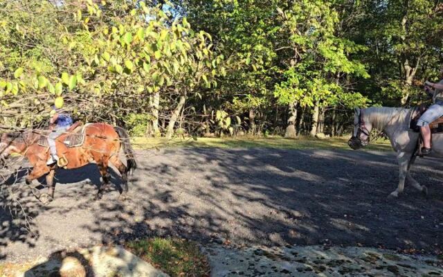 New Jersey’s Echo Lake Stables Takes Beginners Beyond the Ring on Woodland Rides