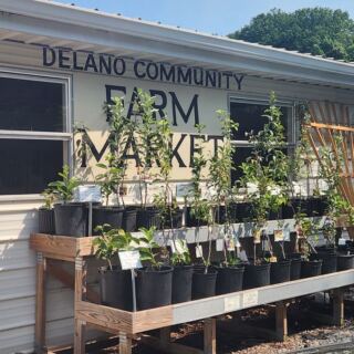 Walk Into These 7 Tennessee Amish Stores and Leave With Homemade Goods