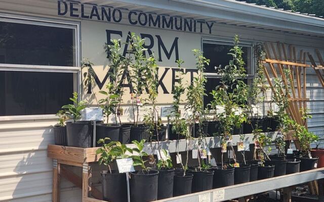 Walk Into These 7 Tennessee Amish Stores and Leave With Homemade Goods