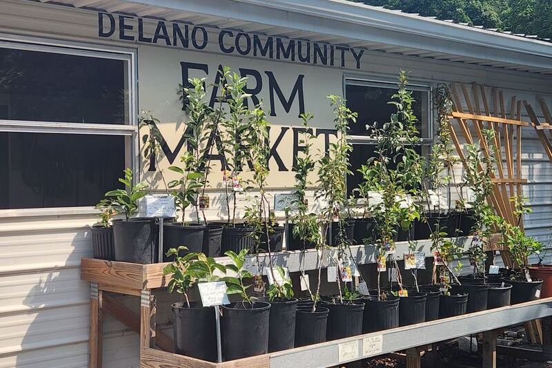 Walk Into These 7 Tennessee Amish Stores and Leave With Homemade Goods