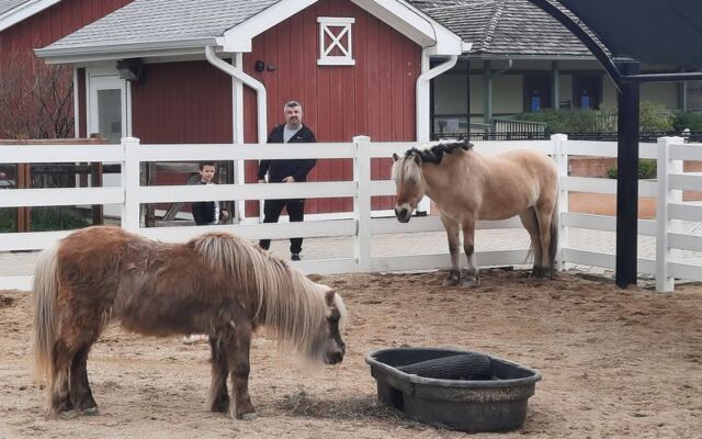 Lambs And Llamas Greet Families At This Free Petting Farm In Wheaton, Illinois