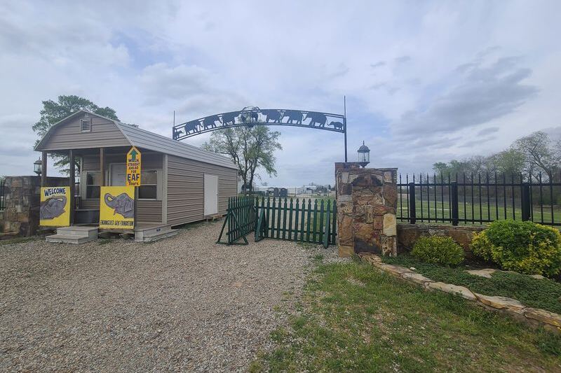 This Quiet Oklahoma Sanctuary Lets You Hand a Banana to a Retired Circus Elephant