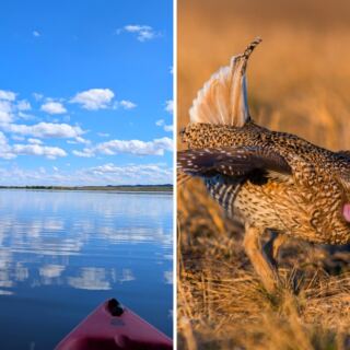 This Nebraska Wildlife Refuge Has 200+ Bird Species and Hidden Lakes