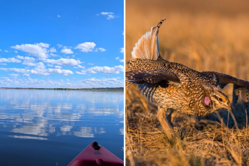 This Nebraska Wildlife Refuge Has 200+ Bird Species and Hidden Lakes
