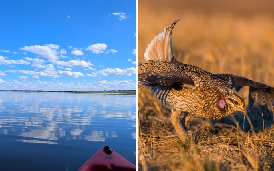 This Nebraska Wildlife Refuge Has 200+ Bird Species and Hidden Lakes