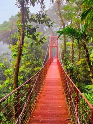 15 Incredible Places in Costa Rica for Nature Lovers