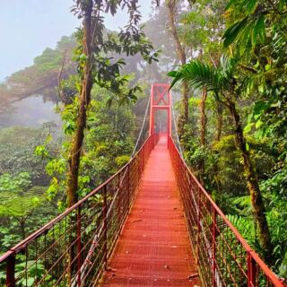 15 Incredible Places in Costa Rica for Nature Lovers