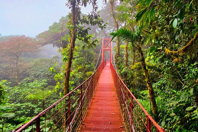 15 Incredible Places in Costa Rica for Nature Lovers