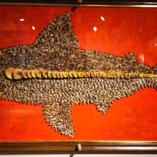 This Free Kansas Museum Has a 15-Foot Fish and 11,000 Shark Teeth