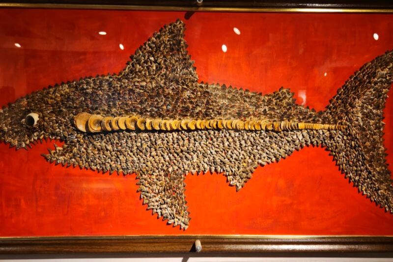 This Free Kansas Museum Has a 15-Foot Fish and 11,000 Shark Teeth