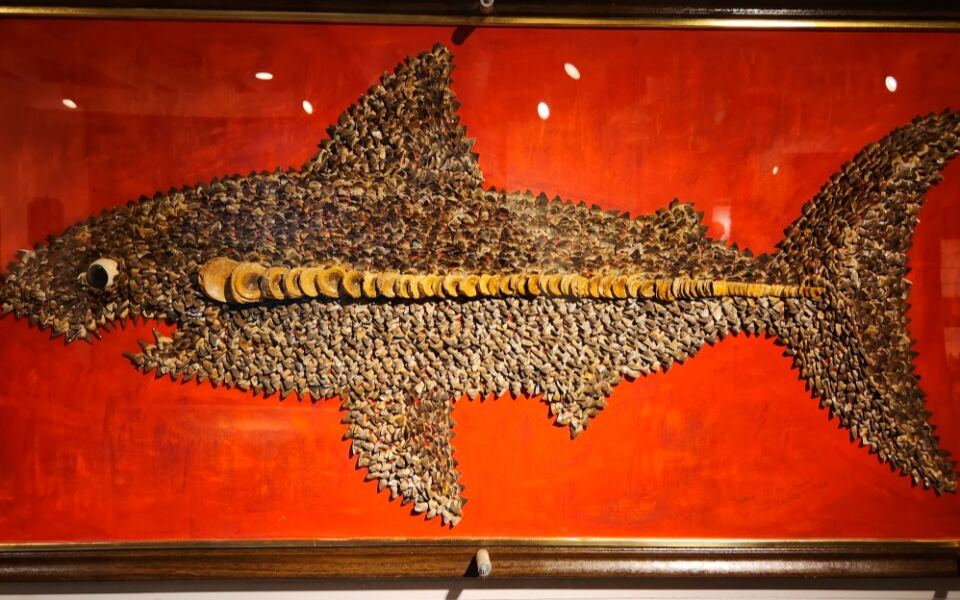 This Free Kansas Museum Has a 15-Foot Fish and 11,000 Shark Teeth