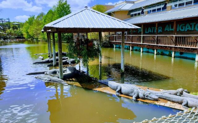 A 1950s Roadside Attraction in Florida Still Lets You Feed Gators Off a Wooden Boardwalk