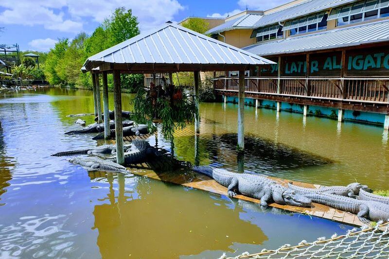 A 1950s Roadside Attraction in Florida Still Lets You Feed Gators Off a Wooden Boardwalk