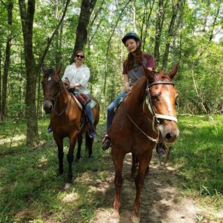 Riding a Giant Clydesdale Down a Wooded Trail Is the Real Deal at This North Carolina Farm