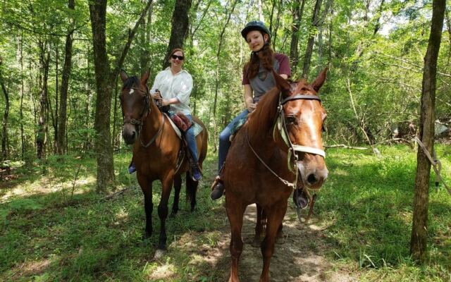 Riding a Giant Clydesdale Down a Wooded Trail Is the Real Deal at This North Carolina Farm