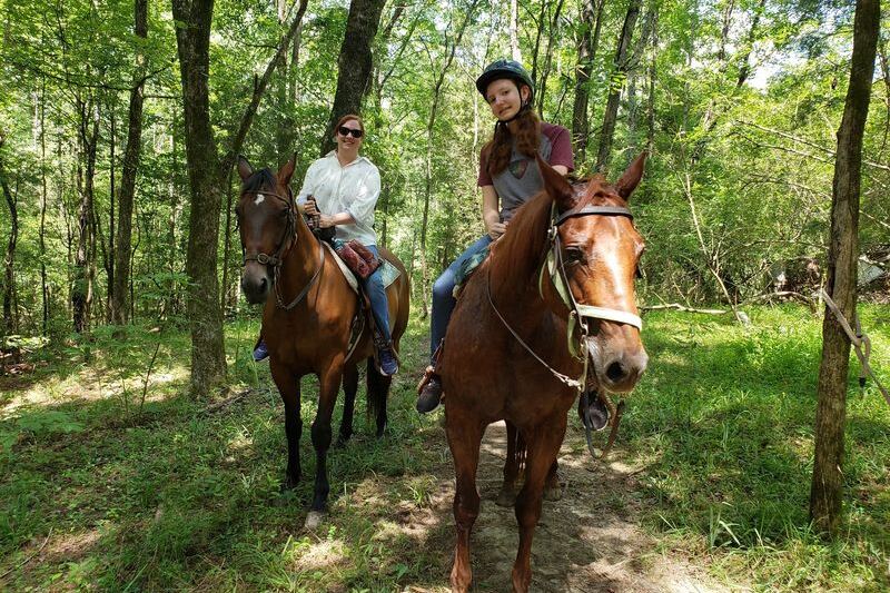 Riding a Giant Clydesdale Down a Wooded Trail Is the Real Deal at This North Carolina Farm