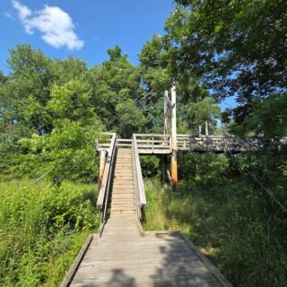 Follow New Jersey’s Pochuck Boardwalk to a Suspension Bridge Above the Wetlands