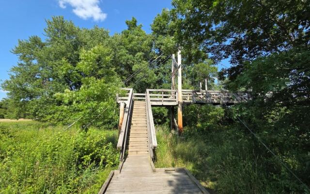 Follow New Jersey’s Pochuck Boardwalk to a Suspension Bridge Above the Wetlands