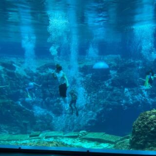 How a 1940s Weeki Wachee Tradition Keeps Florida’s Real-Life Mermaids Swimming Today