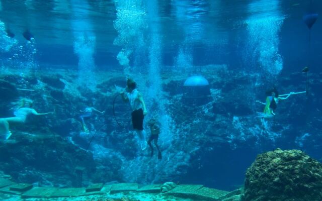 How a 1940s Weeki Wachee Tradition Keeps Florida’s Real-Life Mermaids Swimming Today