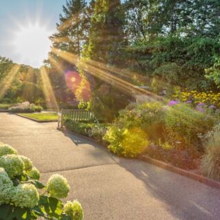 11 Beautiful U.S. Arboretums Where You Can Wander for Hours