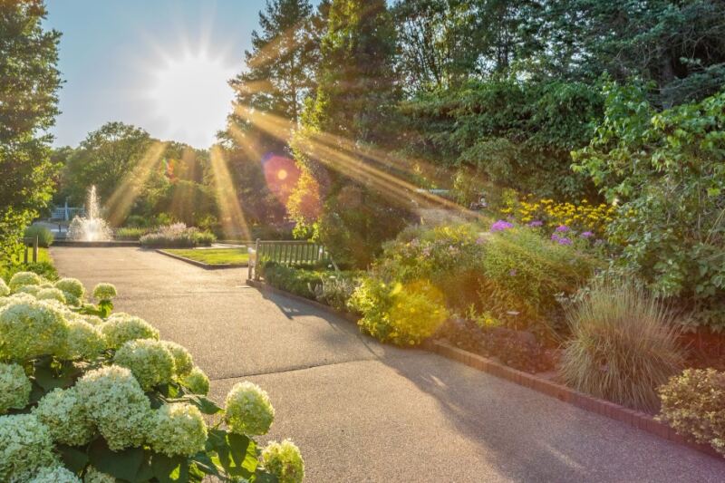 11 Beautiful U.S. Arboretums Where You Can Wander for Hours