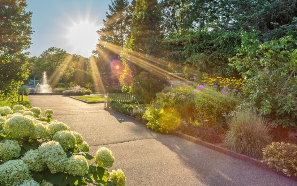 11 Beautiful U.S. Arboretums Where You Can Wander for Hours