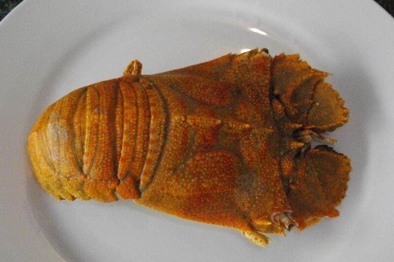 15 Iconic Australian Foods You Have to Try at Least Once