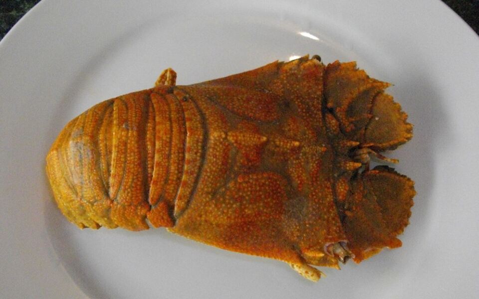 15 Iconic Australian Foods You Have to Try at Least Once
