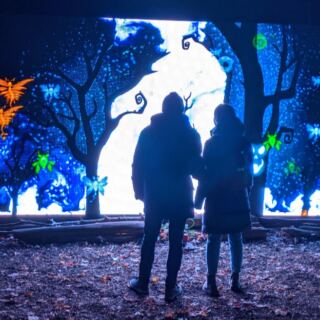 This Michigan Forest Lets You Cast Spells With a Magic Wand