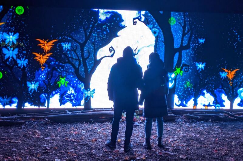This Michigan Forest Lets You Cast Spells With a Magic Wand