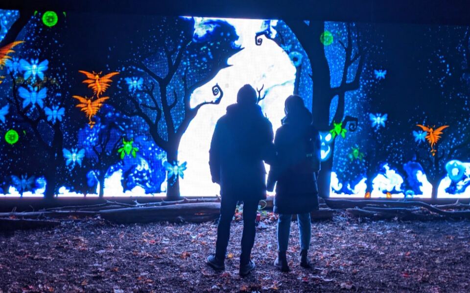 This Michigan Forest Lets You Cast Spells With a Magic Wand