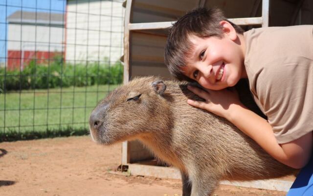 From Broken Bow to Edmond, These 6 Oklahoma Farms Let You Hand-Feed Friendly Goats