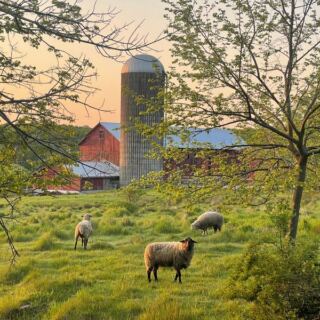 This New Jersey Farm Raises the Meat It Sells Right on Its Own Fields