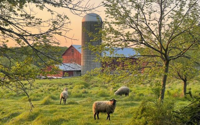 This New Jersey Farm Raises the Meat It Sells Right on Its Own Fields