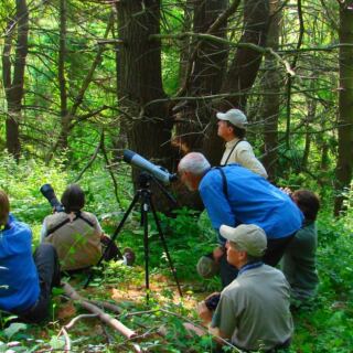14 Delaware Wildlife Viewing Spots With Easy Access
