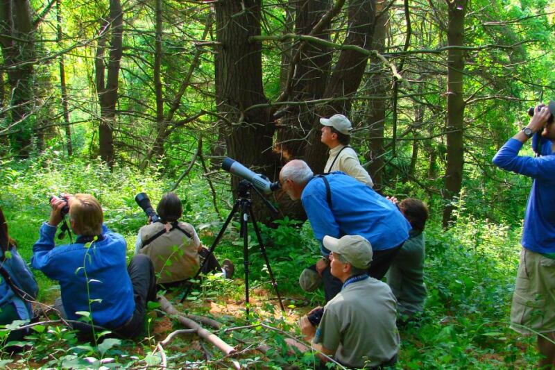 14 Delaware Wildlife Viewing Spots With Easy Access