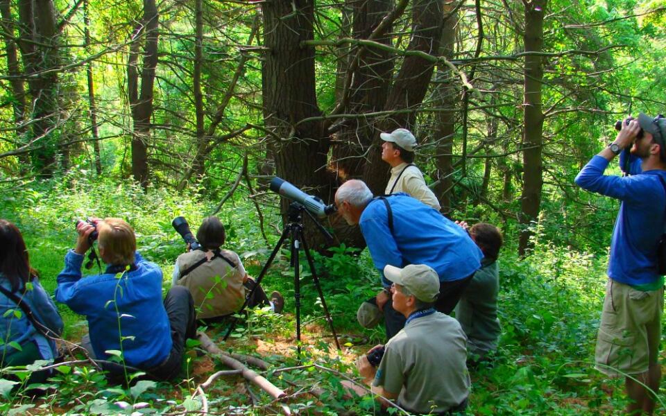 14 Delaware Wildlife Viewing Spots With Easy Access