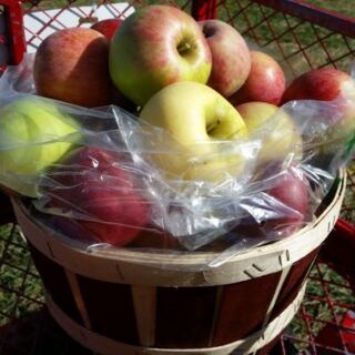 Before Winter Hits, Grab These 5 Ohio Orchard Ciders