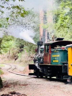 Ride the Narrow-Gauge Train Through Redwoods, Then Fill Up on Chuckwagon Barbecue at Roaring Camp Railroads in Felton, California