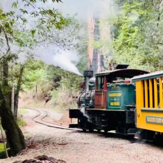 Ride the Narrow-Gauge Train Through Redwoods, Then Fill Up on Chuckwagon Barbecue at Roaring Camp Railroads in Felton, California