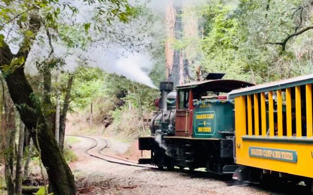 Ride the Narrow-Gauge Train Through Redwoods, Then Fill Up on Chuckwagon Barbecue at Roaring Camp Railroads in Felton, California