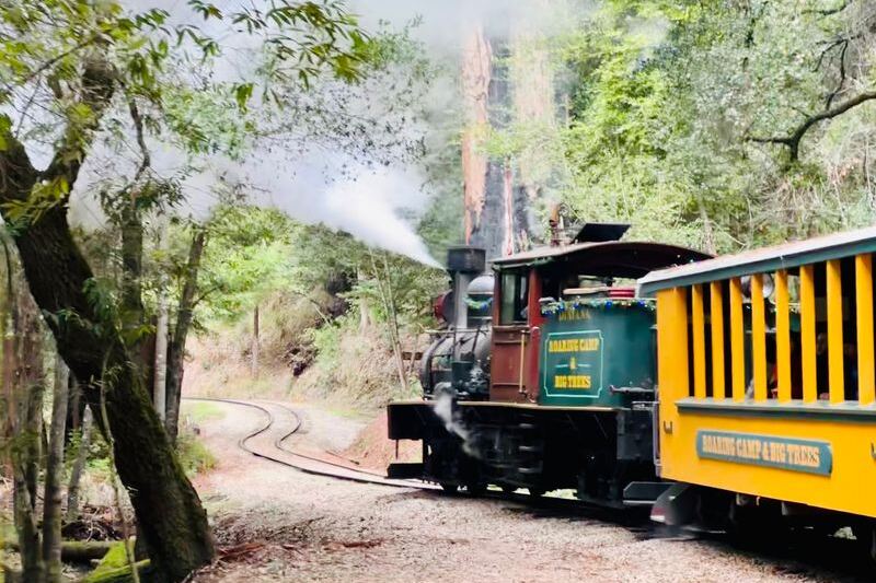 Ride the Narrow-Gauge Train Through Redwoods, Then Fill Up on Chuckwagon Barbecue at Roaring Camp Railroads in Felton, California