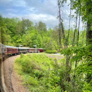 This Sweet North Carolina Small Town Shows How Slow Living Feels Like a Getaway