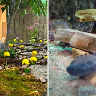 This Free Detroit Nature Center Has Wildlife You Rarely See Up Close