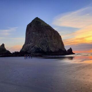 Goofy Tufted Puffins Nest Along the Oregon Coast, and This Rock Is Where You Watch Them