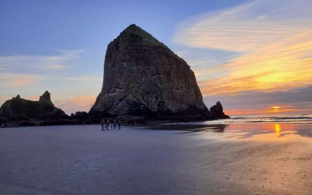 Goofy Tufted Puffins Nest Along the Oregon Coast, and This Rock Is Where You Watch Them