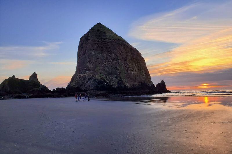 Goofy Tufted Puffins Nest Along the Oregon Coast, and This Rock Is Where You Watch Them
